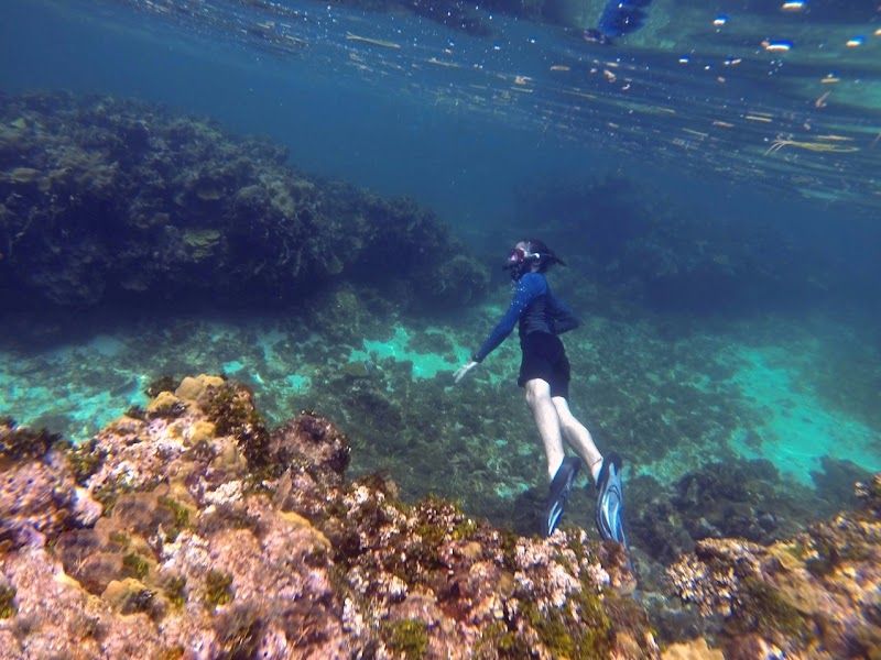 Snorkeling and Coral Reef Exploration