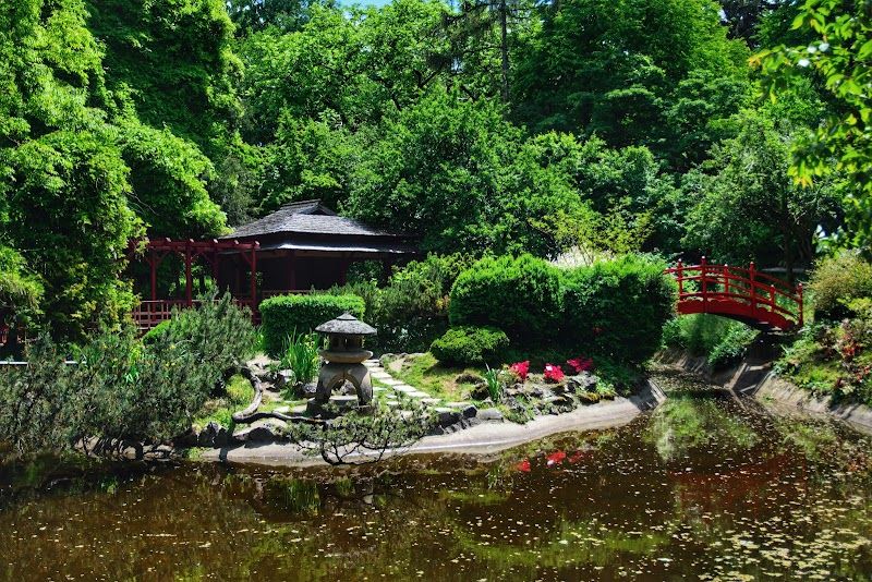 Explore Central Park and the Cluj-Napoca Botanical Garden