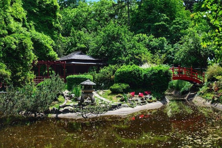 Explore Central Park and the Cluj-Napoca Botanical Garden - Cluj-Napoca - Romania