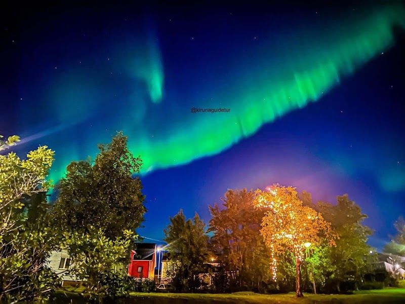 Northern Lights Tour