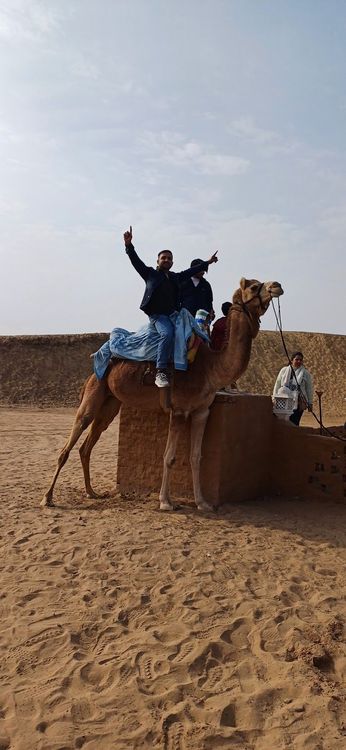Take a Camel Safari in the Thar Desert - Bikaner - India