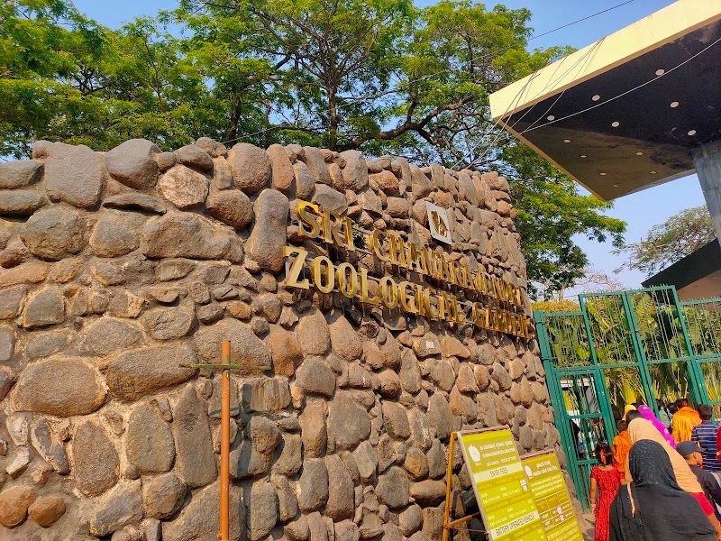 Stroll through the Mysore Zoo (Sri Chamarajendra Zoological Gardens)