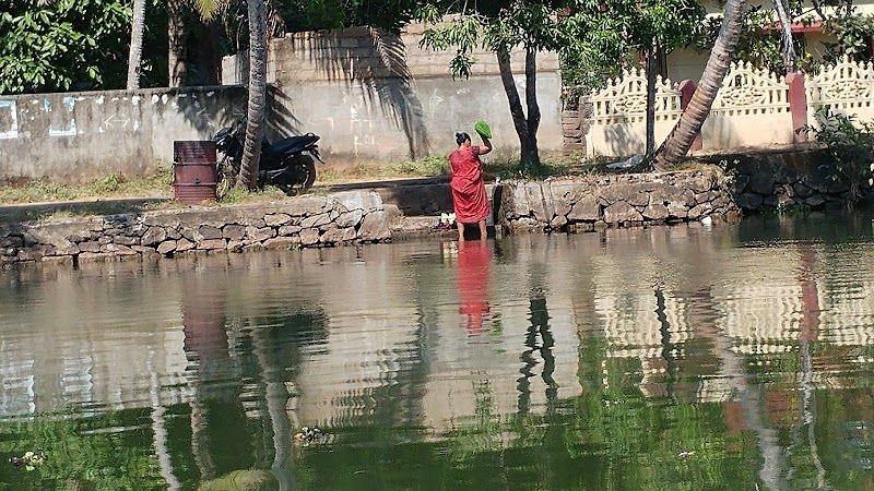 Visit Kumarakom Bird Sanctuary