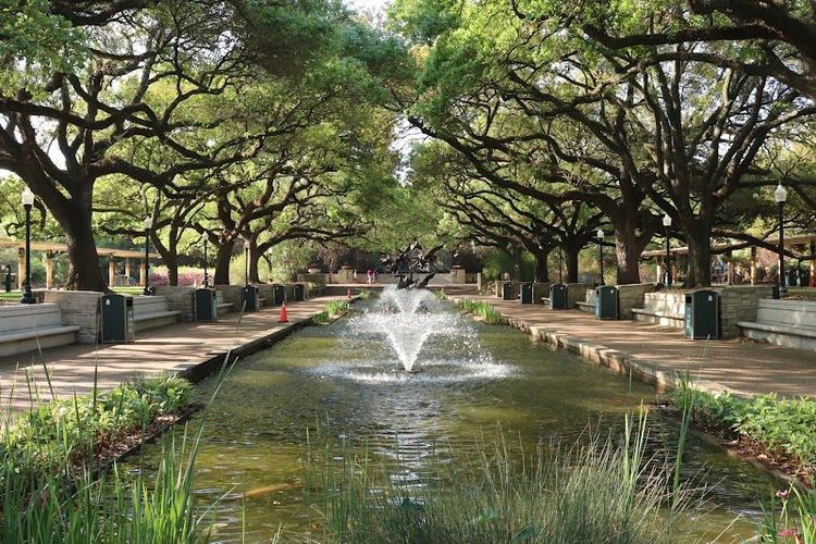 Houston Zoo - Houston - United States