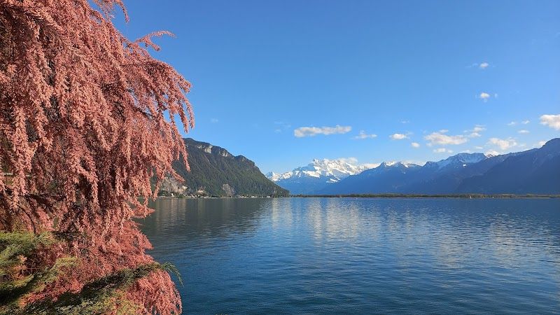 Montreux Jazz Festival