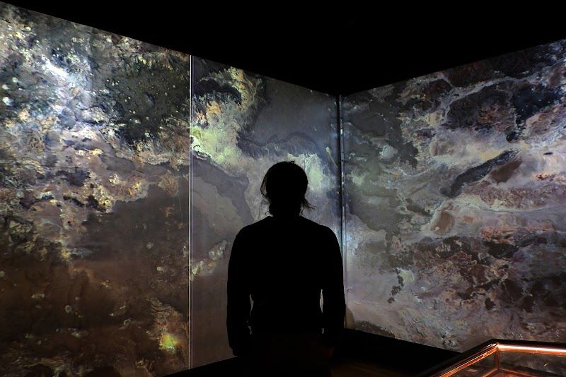 Visit the Royal Cornwall Museum