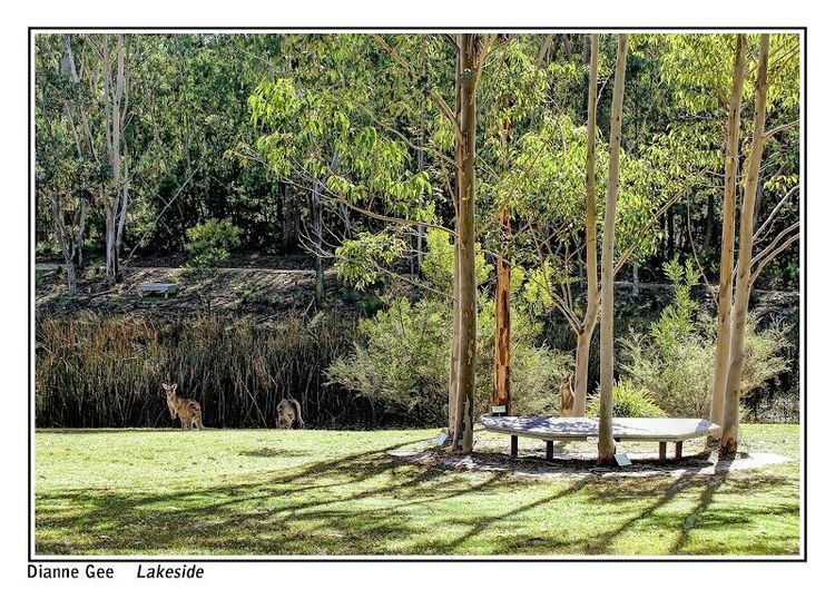 Eurobodalla Regional Botanic Garden - Batemans Bay - Australia