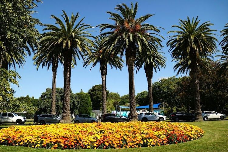 The Victoria Esplanade - Palmerston North - New Zealand