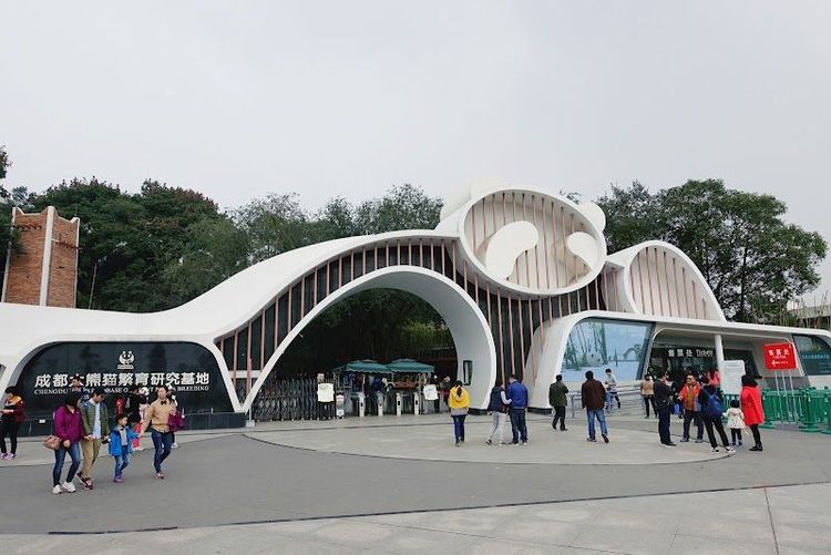 Visit the Chengdu Research Base of Giant Panda Breeding - Cheng Du Shi - China