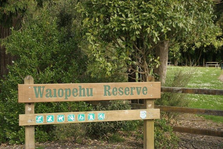 Waiopehu Bush Reserve - Levin - New Zealand