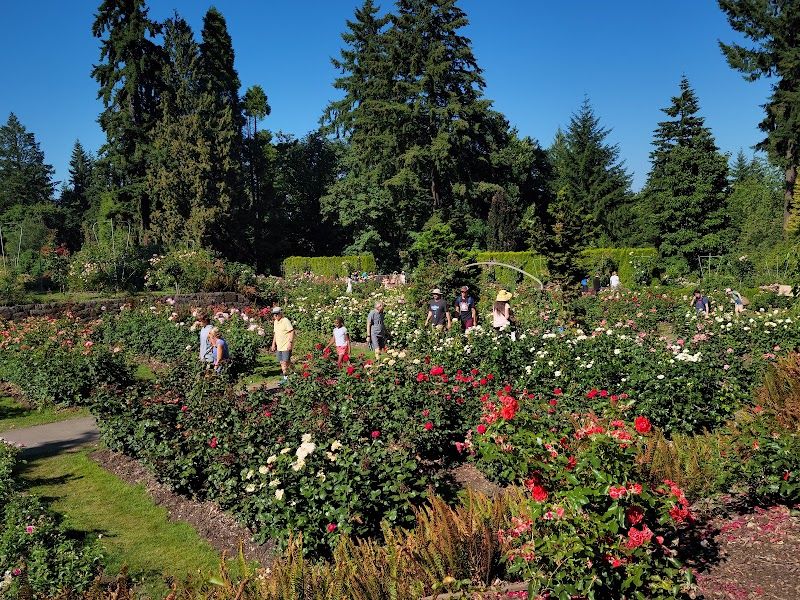International Rose Test Garden