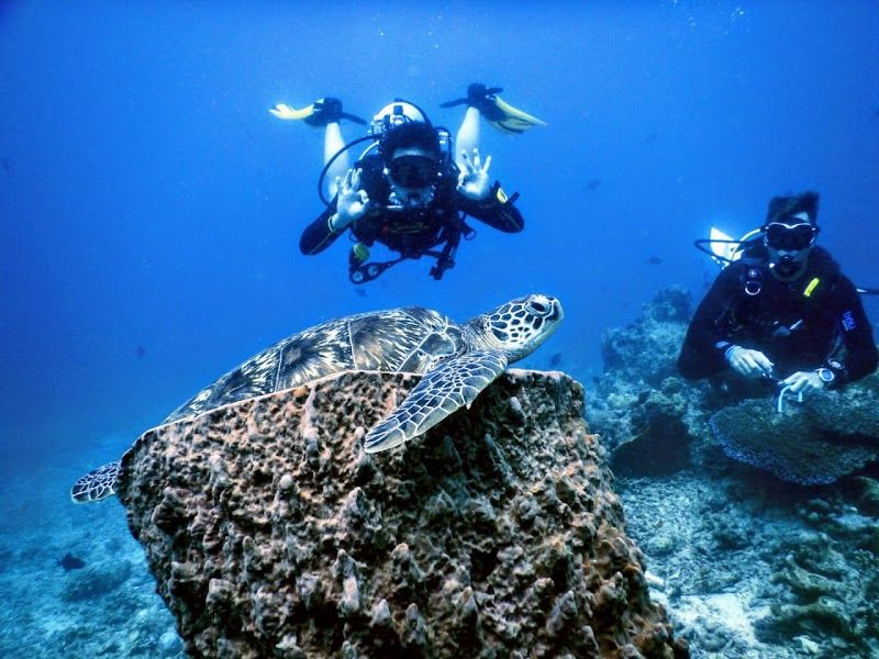 Dive or snorkel in Bunaken National Marine Park