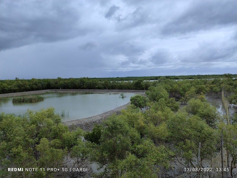 Bird Watching at Sajnekhali Bird Sanctuary