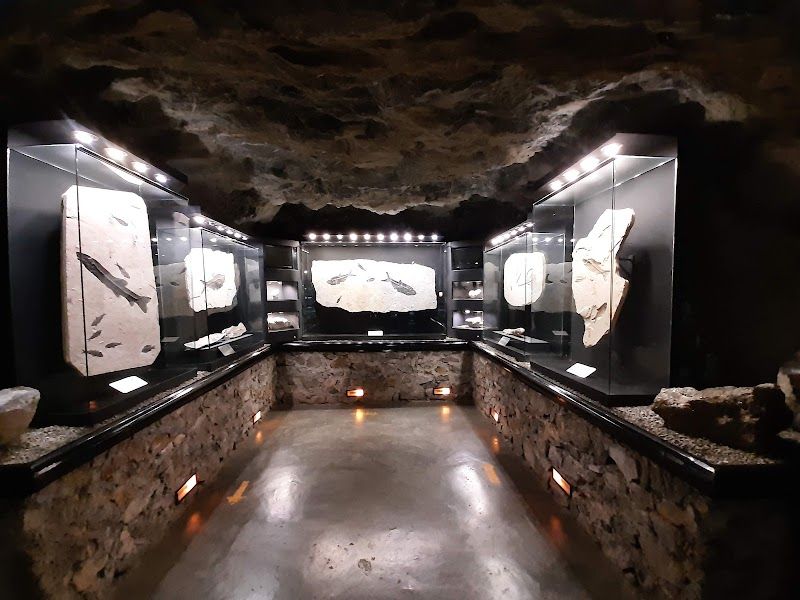 Explore La Mina El Edén