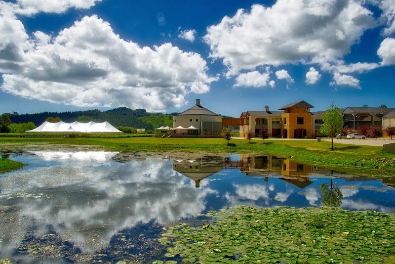 Take a Winery Tour in Hawke's Bay