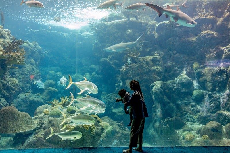 The Florida Aquarium