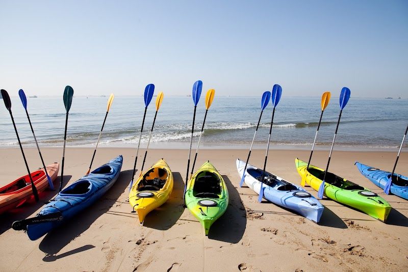 Kayaking with seals at Pelican Point