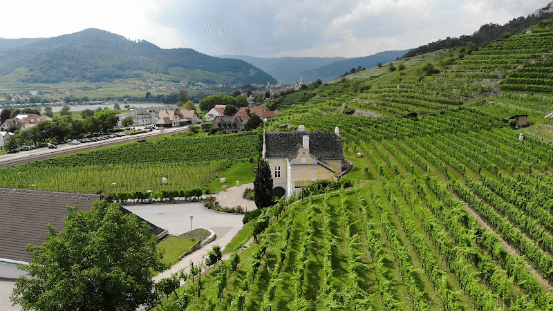 Wachau Valley Wine Tour