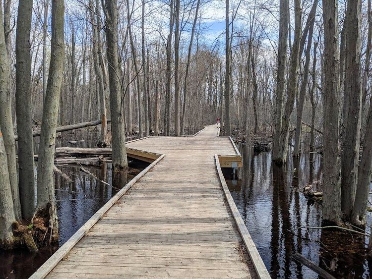 Guelph Arboretum - Guelph - Canada