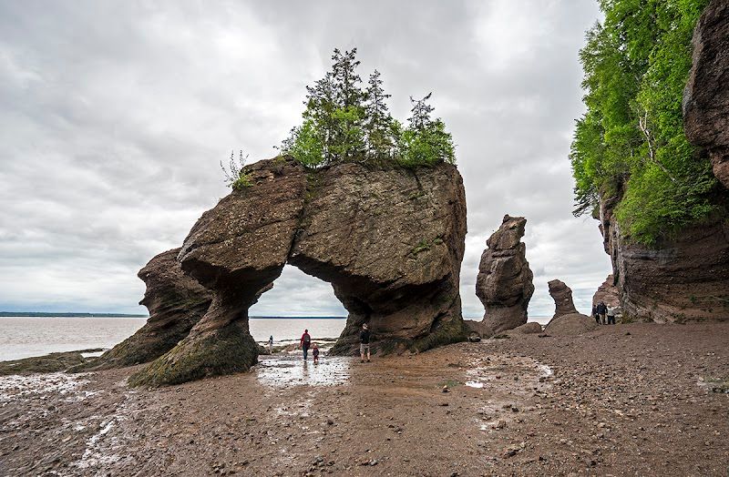Hopewell Rocks