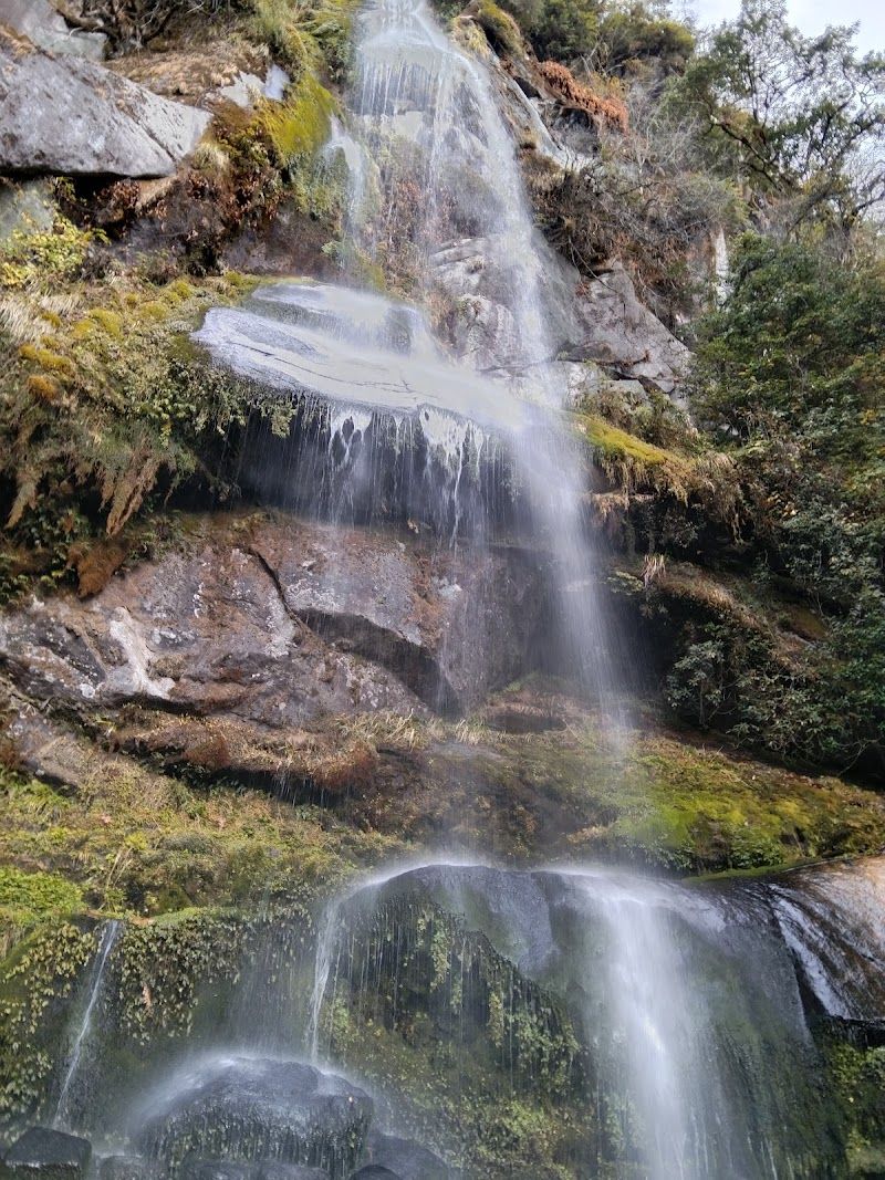 Pema Yang Dzong Lhakhang Aja Ney
