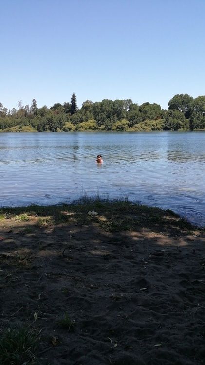 Playa Collico - Valdivia - Chile