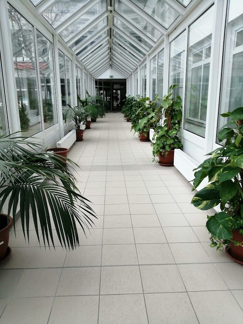 Relax at Aquaticum Spa and Thermal Baths