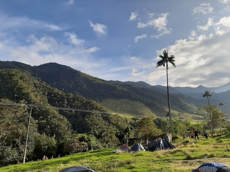 Hiking the Cocora Valley