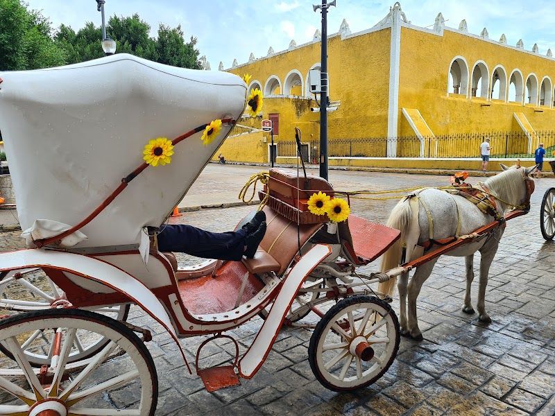 Take a Horse-Drawn Carriage Tour of the Yellow City