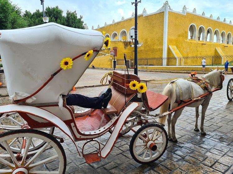 Take a Horse-Drawn Carriage Tour of the Yellow City - Izamal - Mexico