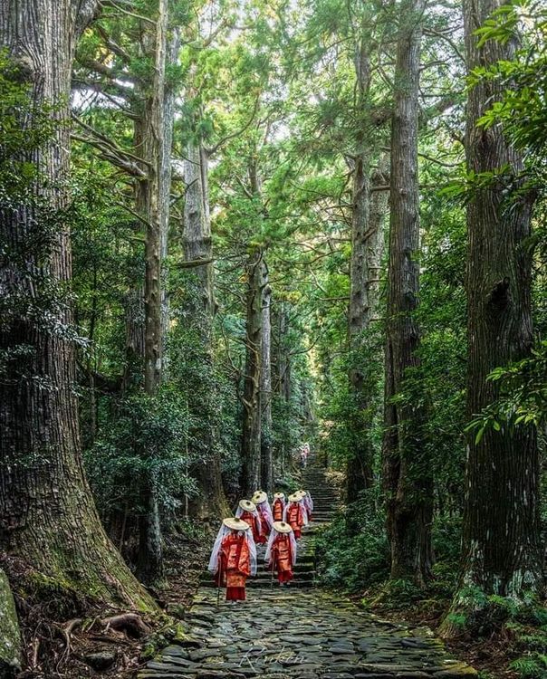 Kumano Kodo Pilgrimage Trail - Tanabe - Japan
