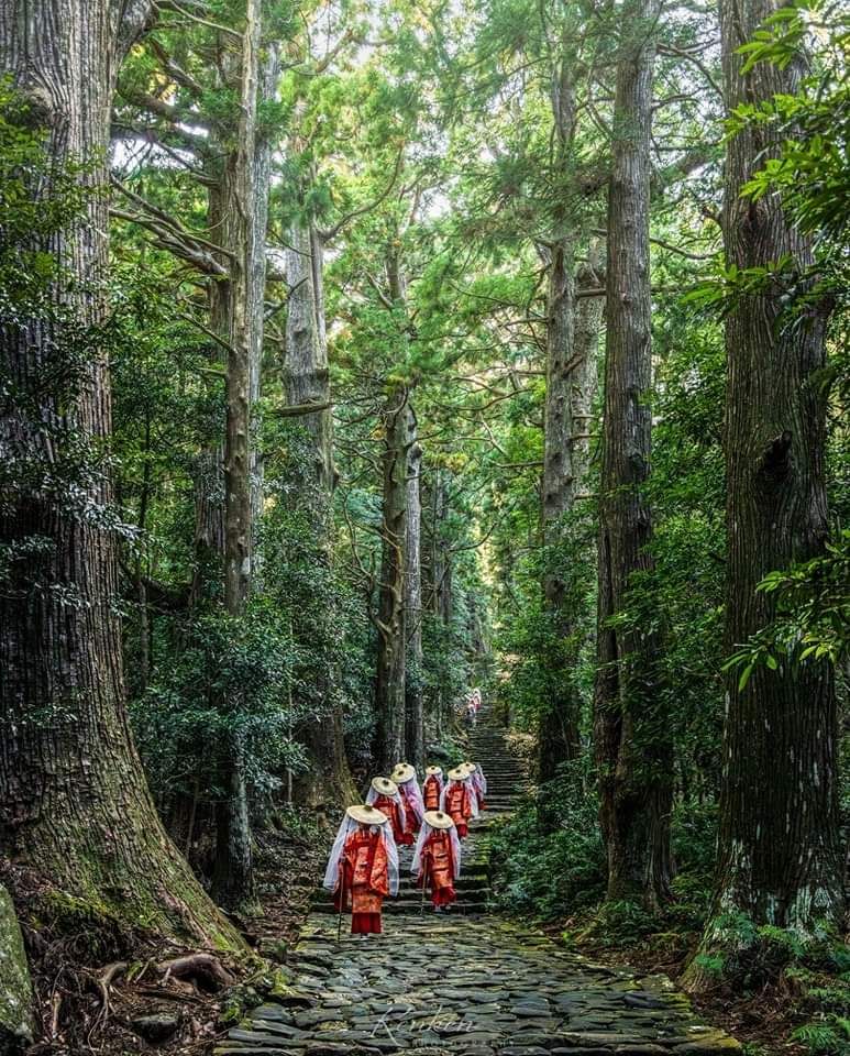 Kumano Kodo Pilgrimage Trail