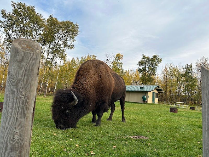 Elk Island National Park