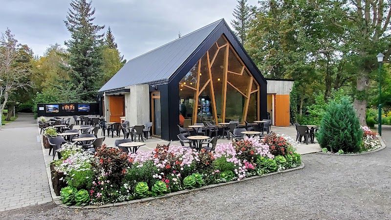 Explore the Arctic Botanical Gardens (Lystigarður Akureyrar)