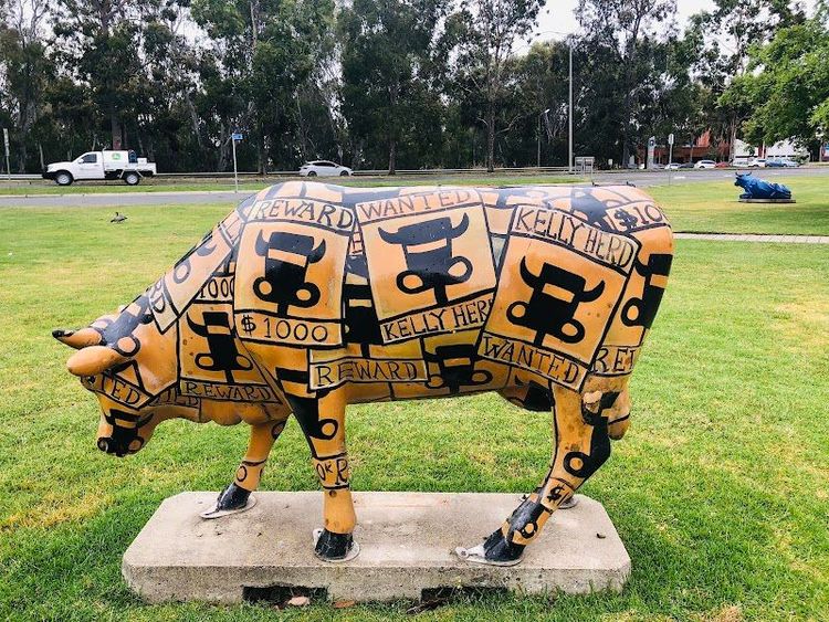 Shepparton Moooving Art - Shepparton - Australia