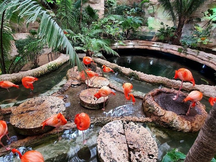 Dallas World Aquarium - Dallas - United States
