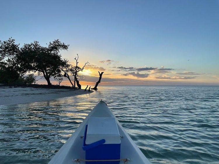 Watching Bioluminescence at Night - Holbox - Mexico