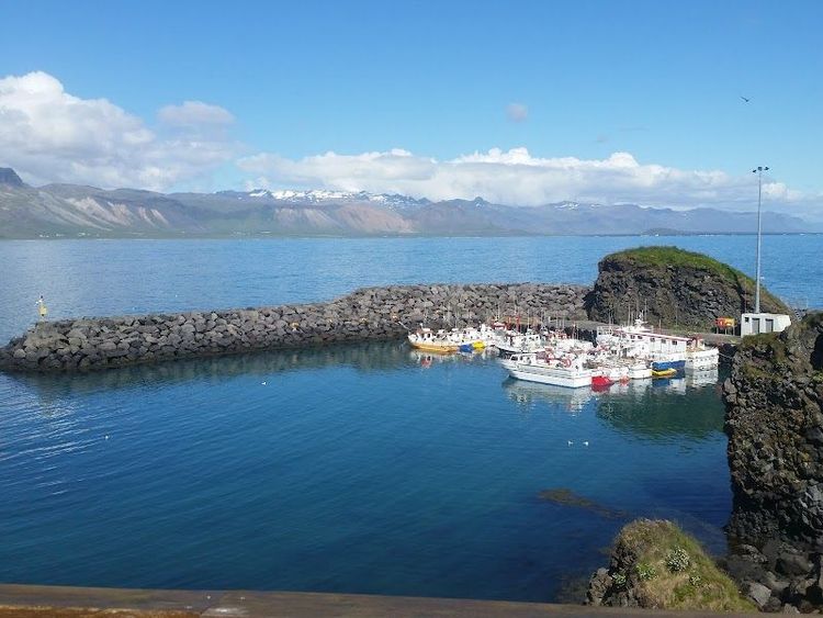 Whale Watching Tours Grundarfjörður - Grundarfjörður - Iceland