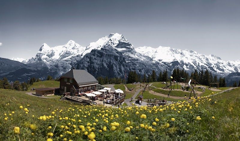 Allmendhubel Flower Trail and Funicular Ride