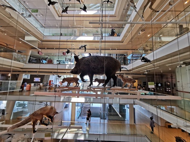 Explore MUSE Science Museum