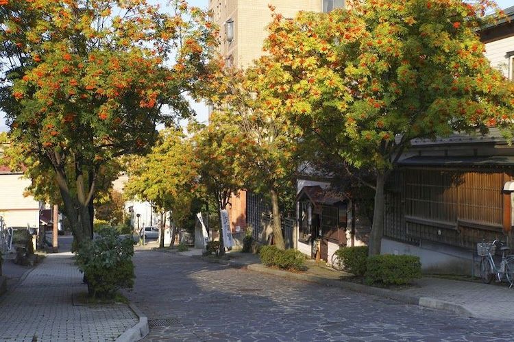 Hachiman Zaka Slope - Hakodate - Japan