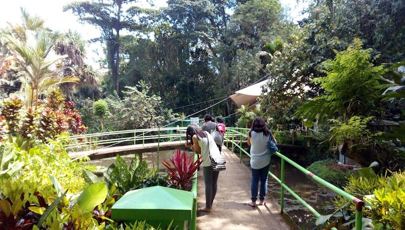Visit the Philippine Eagle Center