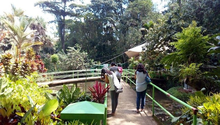 Visit the Philippine Eagle Center - Davao City - Philippines