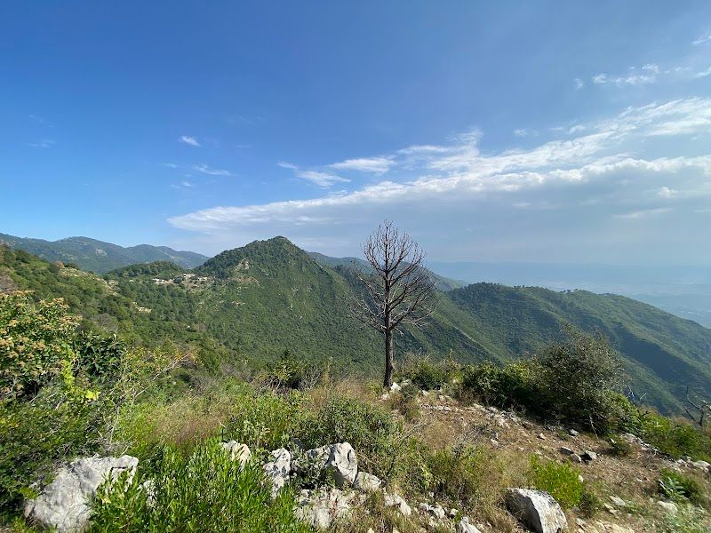 Hiking in the Margalla Hills