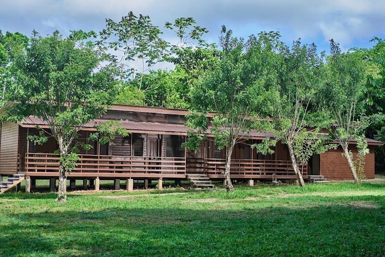 Hike and birdwatch in the surrounding Toledo District rainforest - Toledo District - Belize