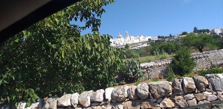 Take a Wine Tour in the Valle d'Itria - Locorotondo - Italy