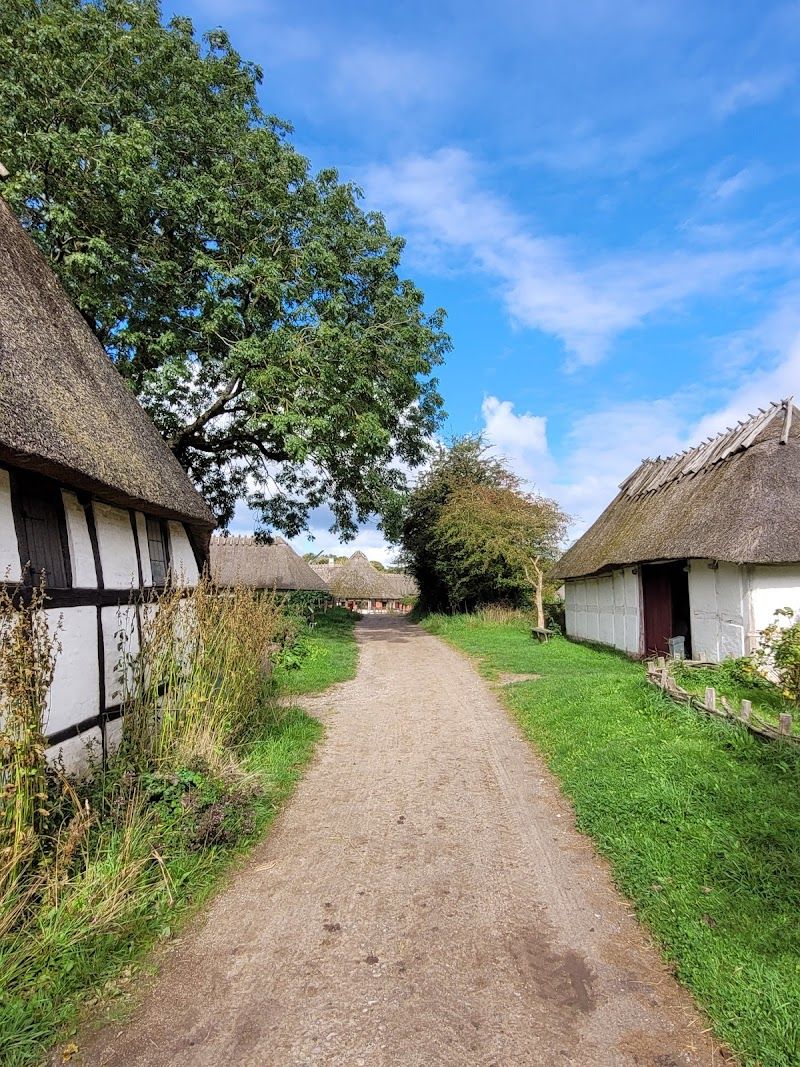The Funen Village (Den Fynske Landsby)