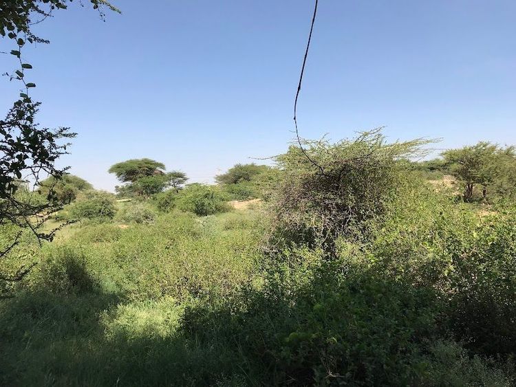 Isha Gobka - Hargeisa - Somalia