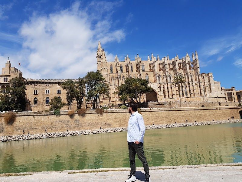 Visit the Palma Cathedral (La Seu)