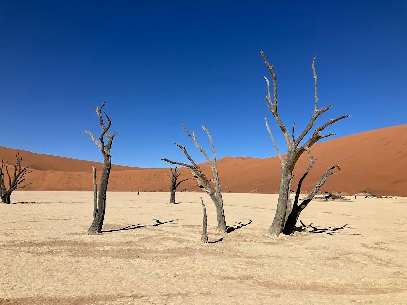 Visit Deadvlei
